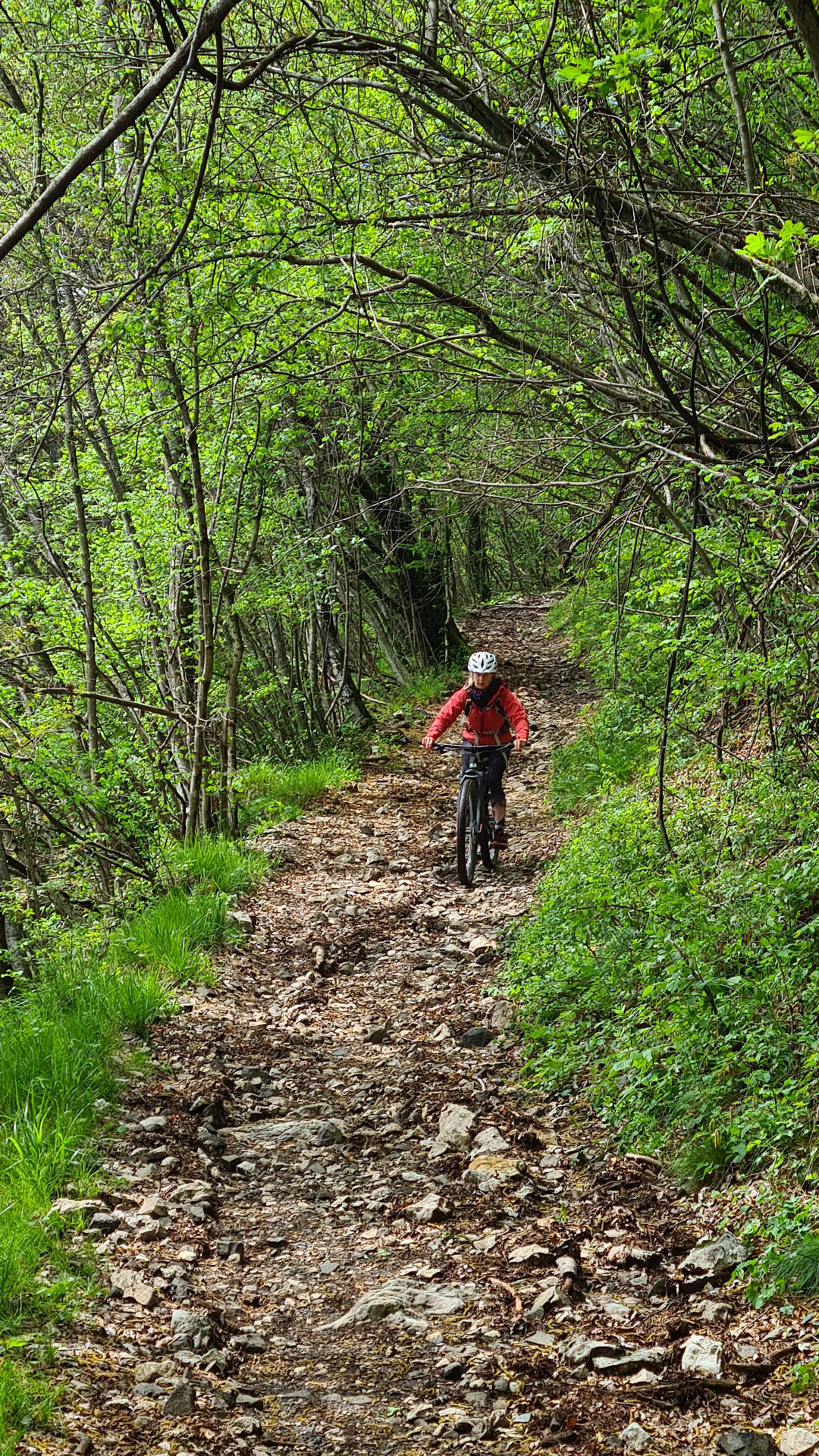 MTB-Tour-Monte-Velo-mit-Flow-Trail-zur-Maso-Naranch-Umfahrung-Naranch-Trail-5